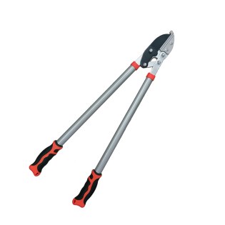 super psalida taiwan